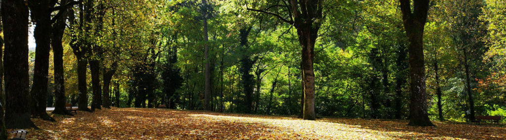 Le Parc de Saint Gervais