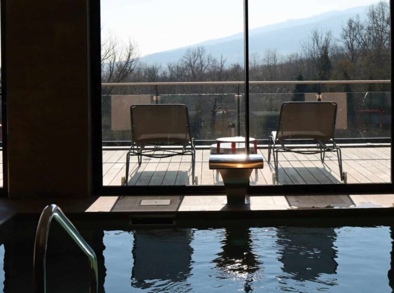 Piscine intérieure du spa de l’Hôtel Arnold avec vue sur la nature